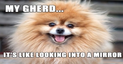 ...